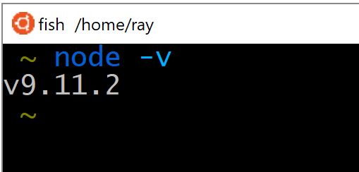 node -v at the terminal