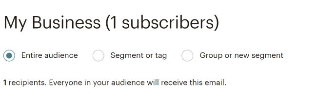 Selecting the audience/segment for the list