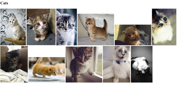 Gratuitous cat picture is gratuitous