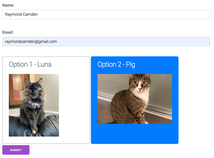 Form sample with selected cat