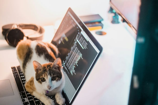 Adding Programming Language Detection with Built-in Chrome AI